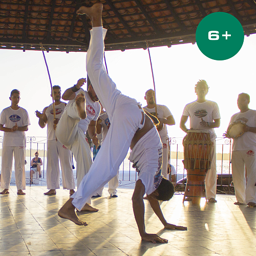 Шоу капоэйра